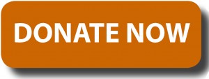 donate-button-logo-blue-rectangle1